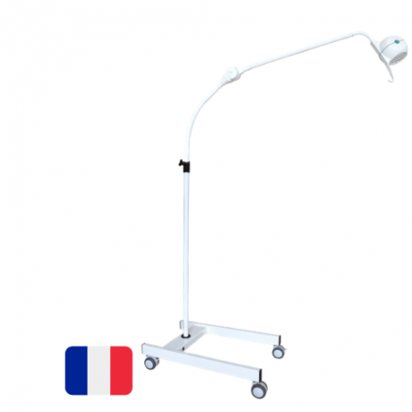 Lampe D Examen Led Sur Pied Roulant Bellon Lid Teamalex Medical