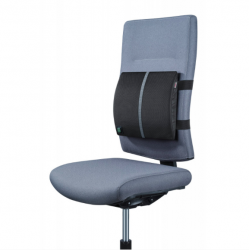 Coussin de massage de siège chauffant AutoDrive 12 V Coussin de