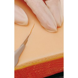Acheter Kit de pratique de suture pour une formation complète aux nœuds  chirurgicaux par des étudiants vétérinaires en médecine